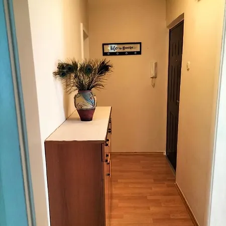 Apartment Apartman Lulu Rijeka
